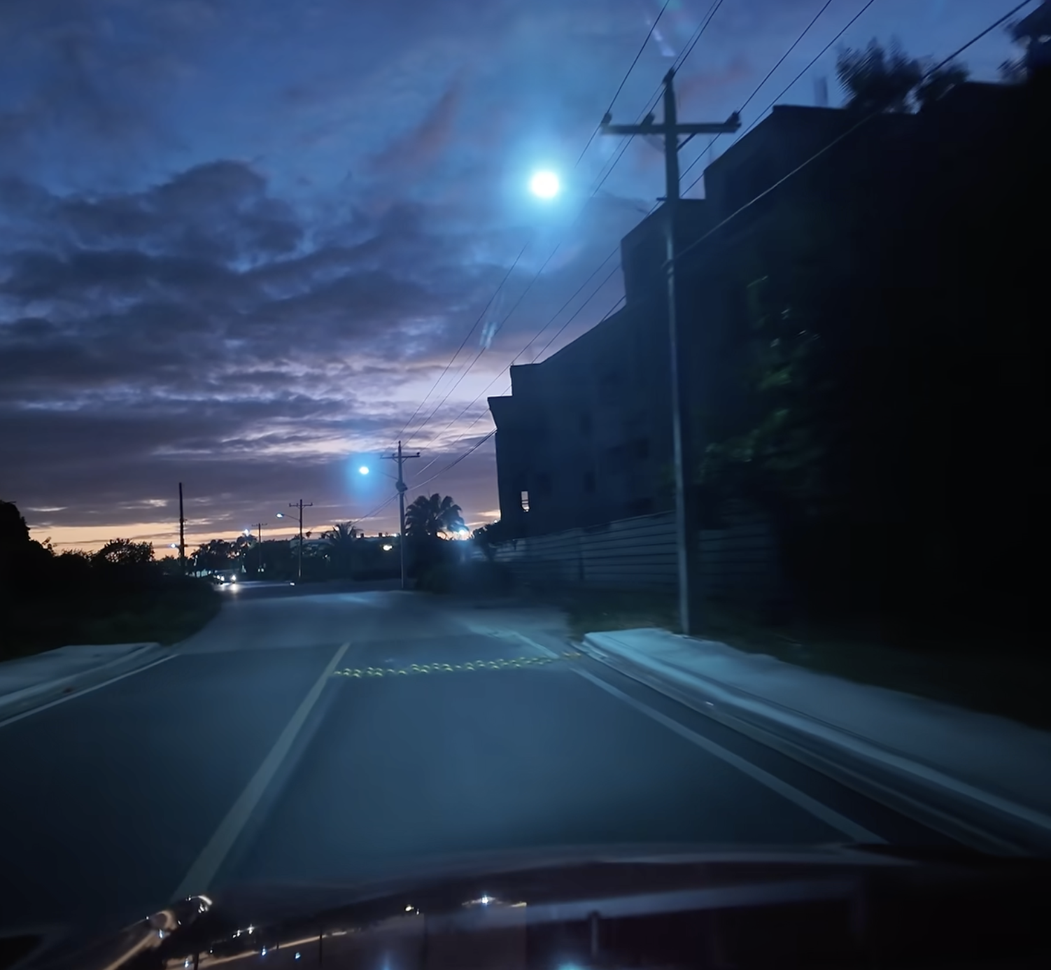 GENEZIO — photographie 4